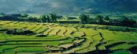 Travelers with Sapa Town and local villages